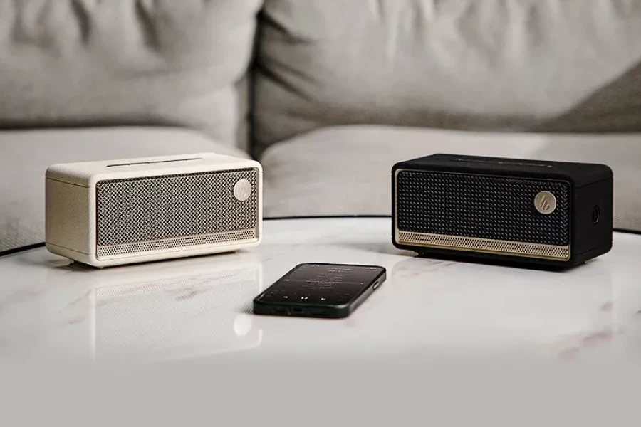 Compact Powerful Speaker